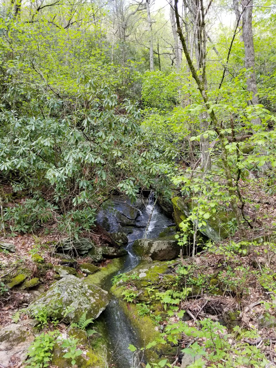 Mountainside Waterfall