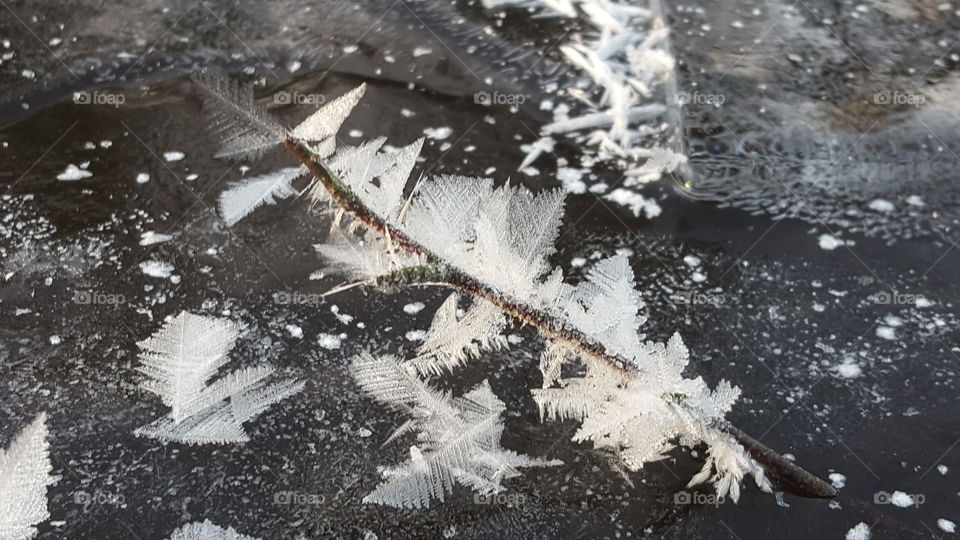 Ice feathers