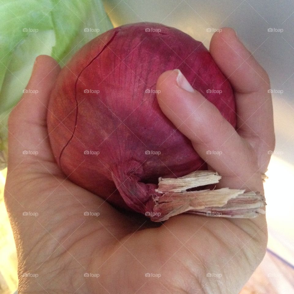 Holding red onion 
