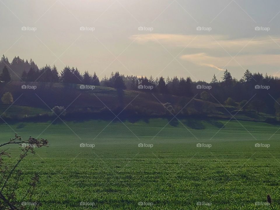 another Hazy Oregon Morning