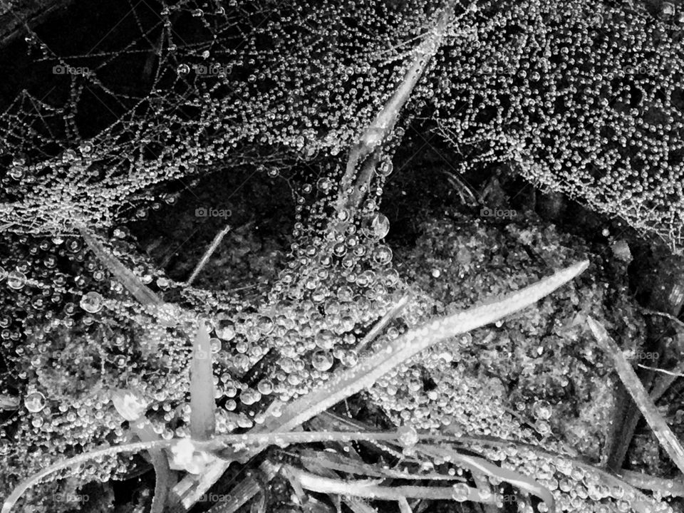 Welcoming complexity 