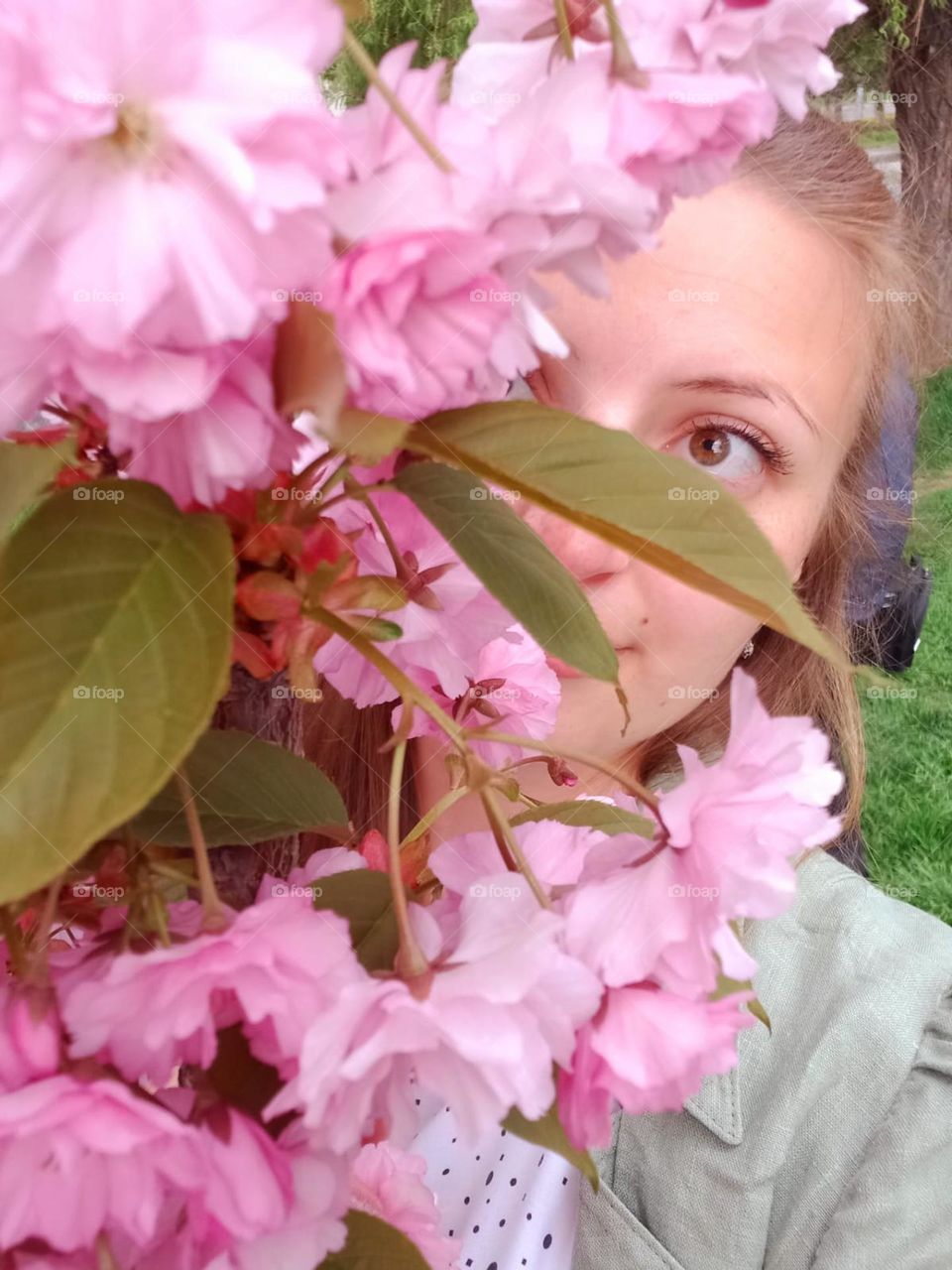 a girl's cute face peeks out from under the sakura