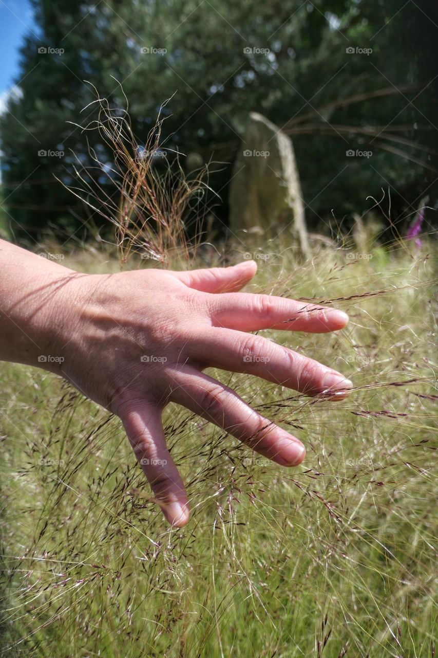 Hand touching tall grass