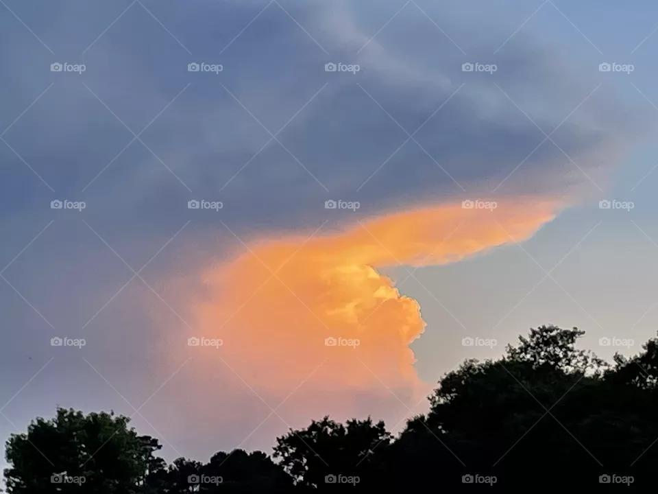 Southern sunset 