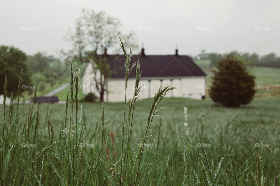 Landscape, Grass, Nature, No Person, Field