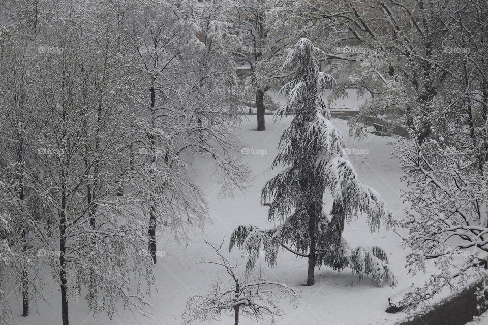 A statue under the snow