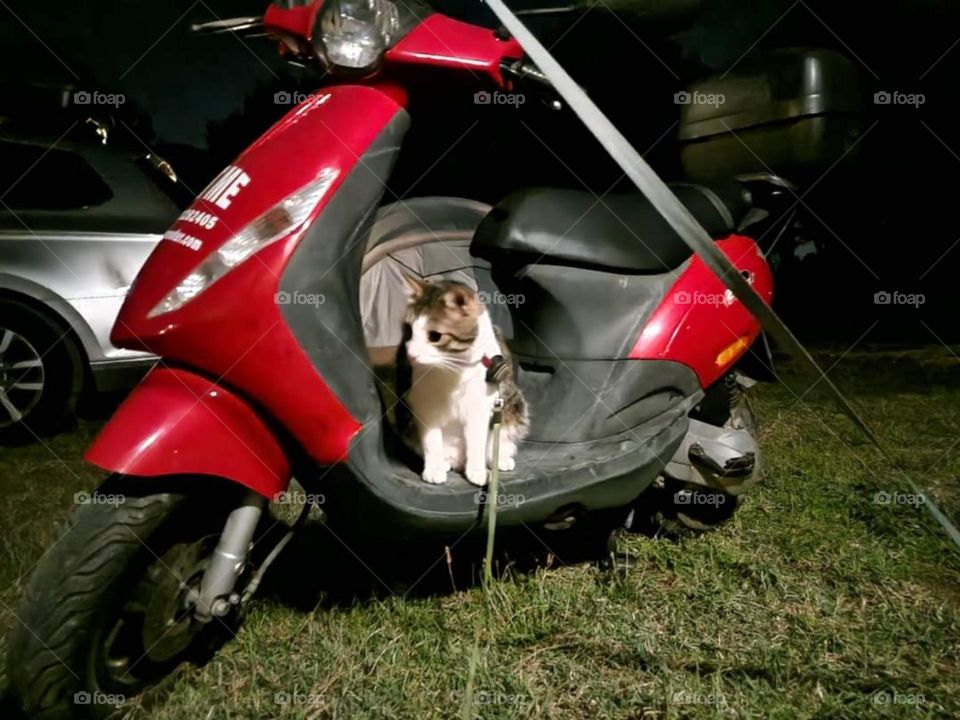 Commuting series motorcycles and scooters mission