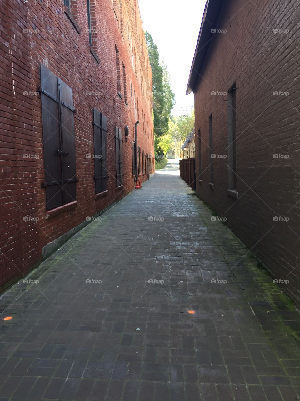 Cary Hotel walkway alley. 