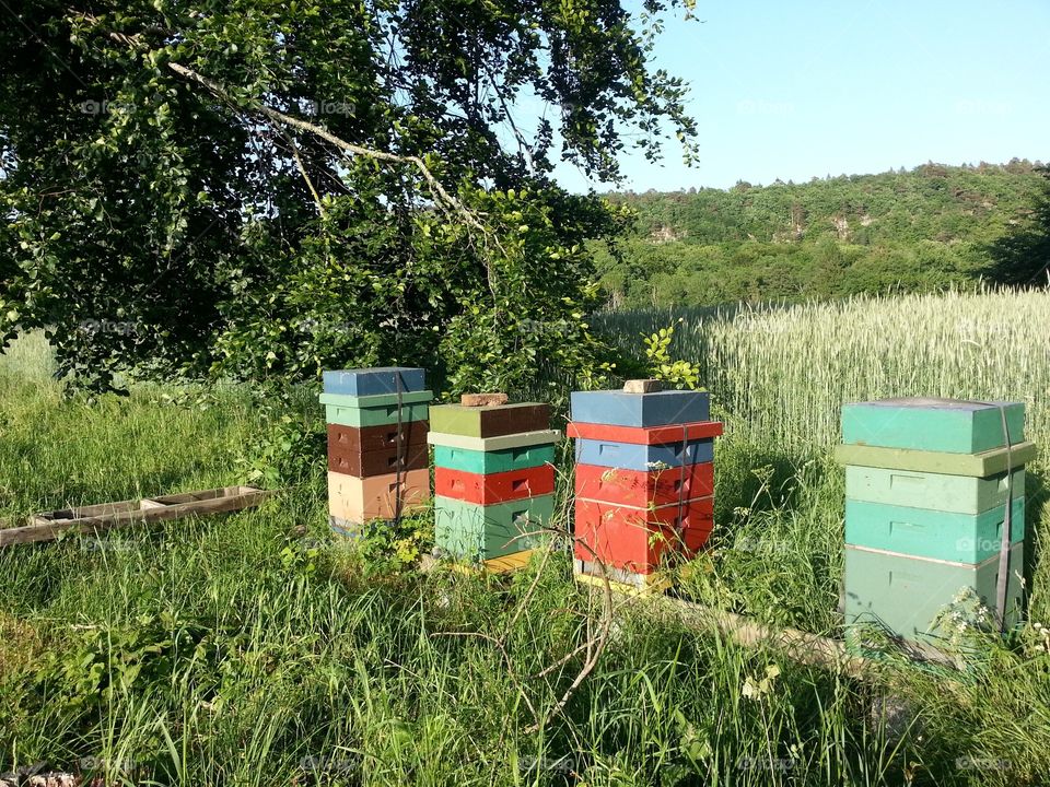 Bee boxes on landscape against clear sky