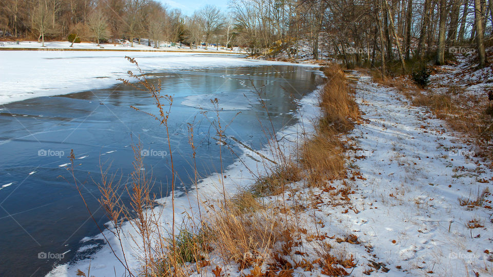 Snowy Footprints Across a Frozen Pond