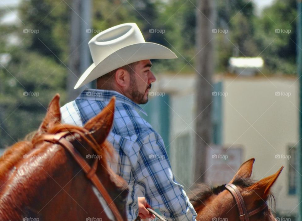 American Cowboy 