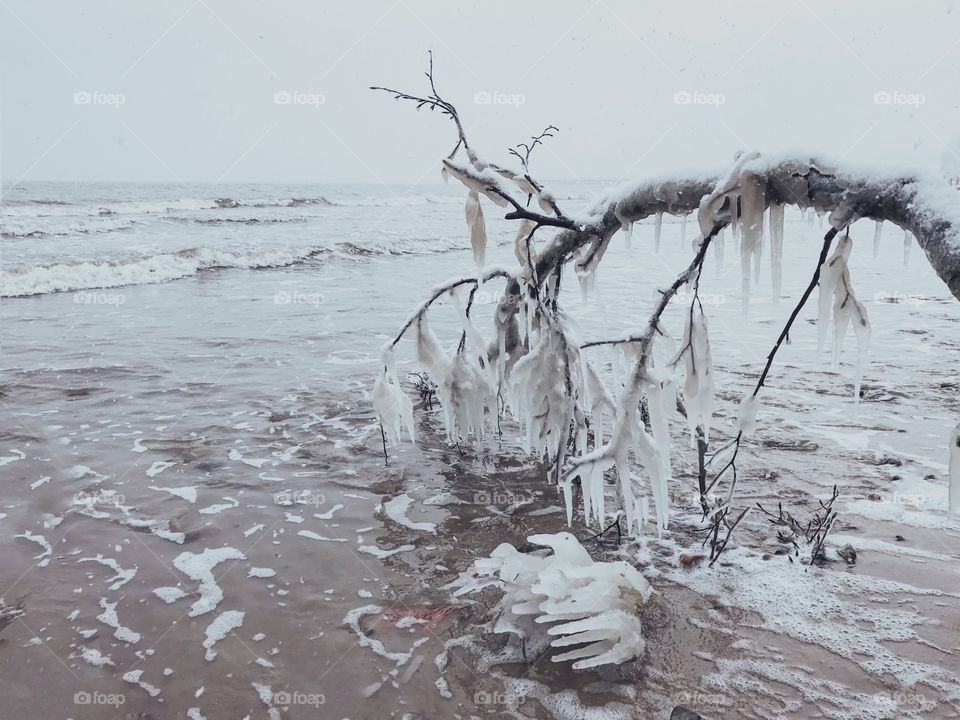 Seaside view of winter