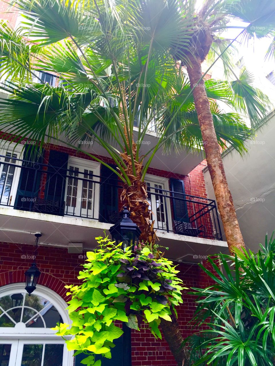 New Orleans Courtyard