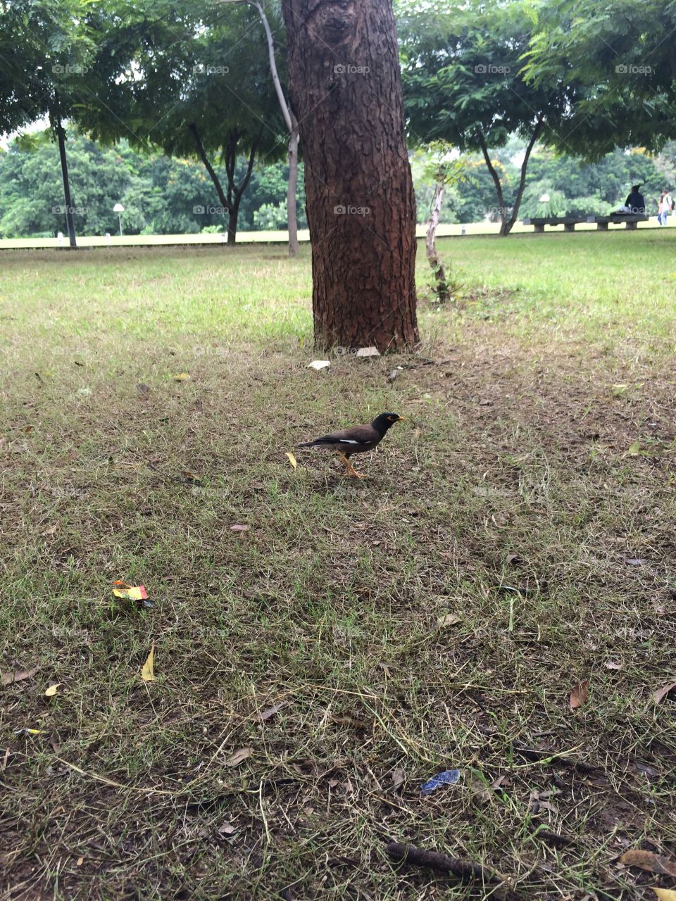 🦆cultural park 😍