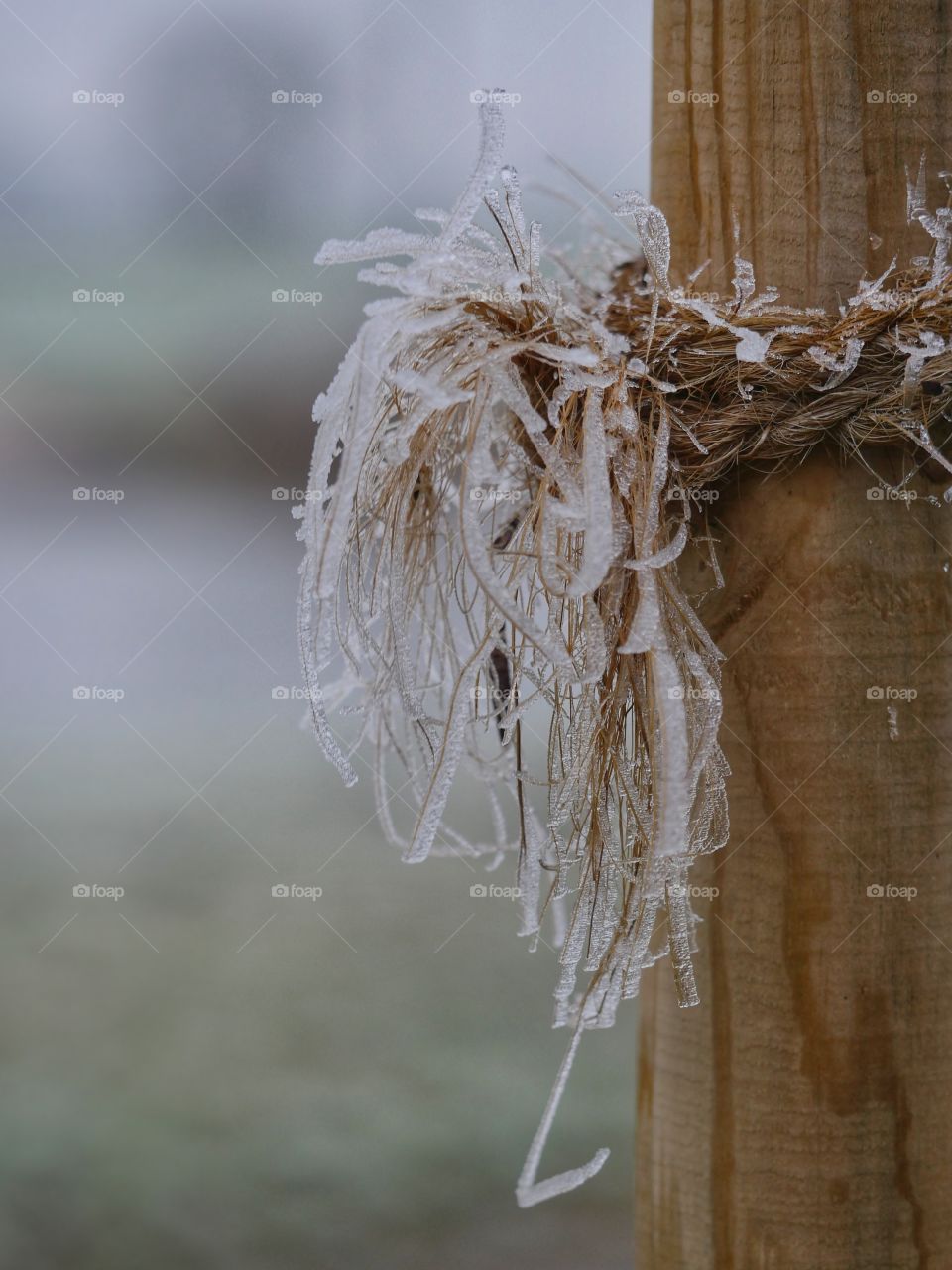 Frozen rope