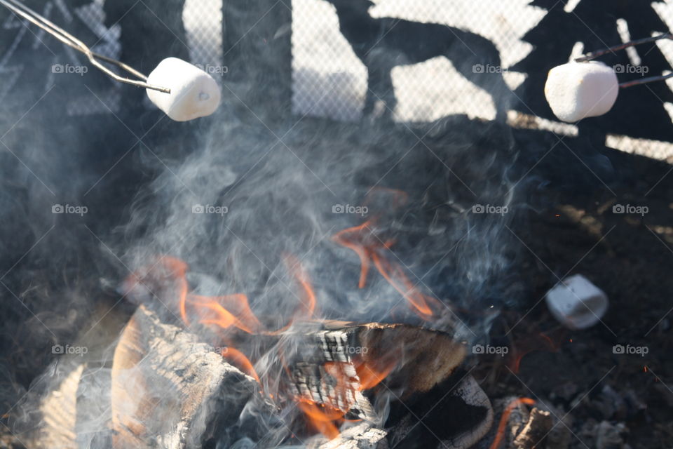 Roasting marshmallows on a bonfire