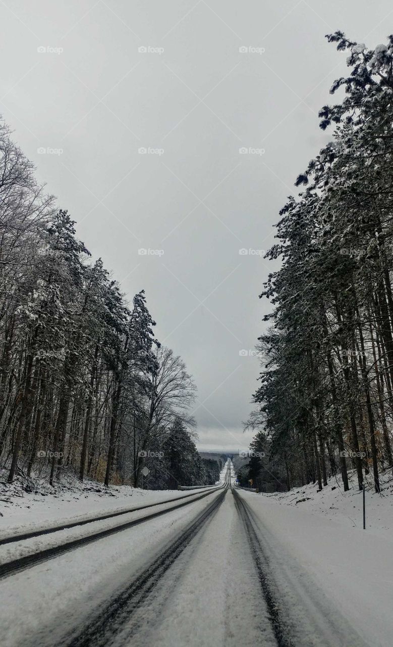 Snow, Winter, Road, No Person, Tree