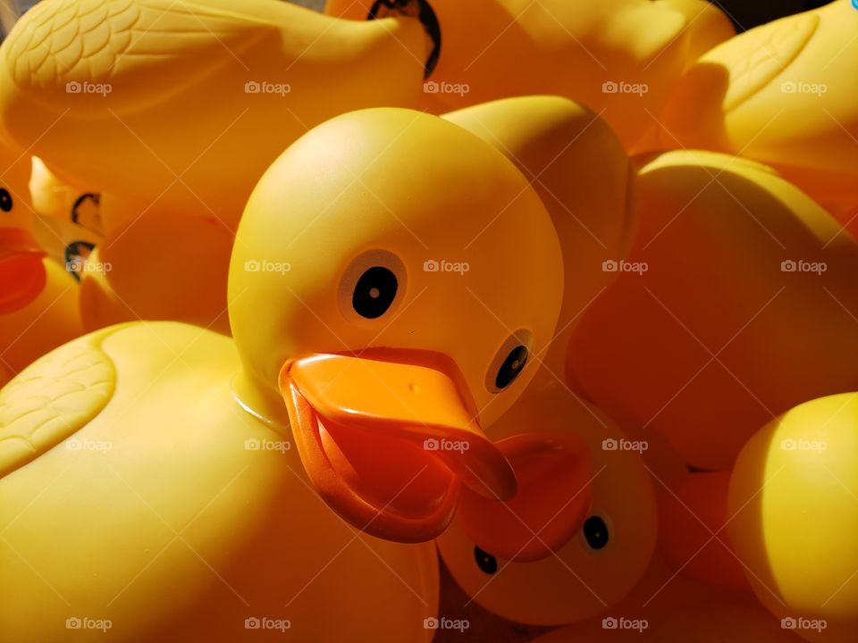 Rubber ducks