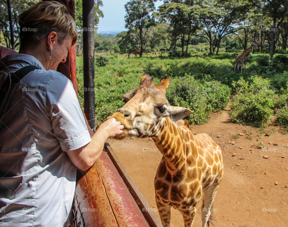 Saying hello to my new friend 