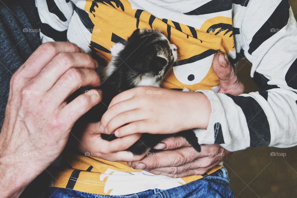 Cute little kitten having a cosy time in a boys arms