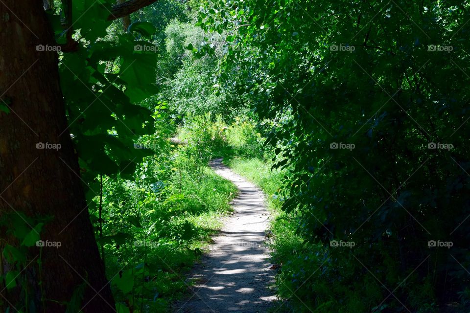 Hiking Trails