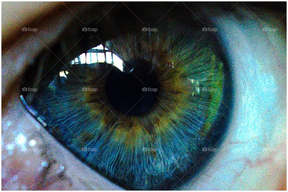 Close-up of a human pupil