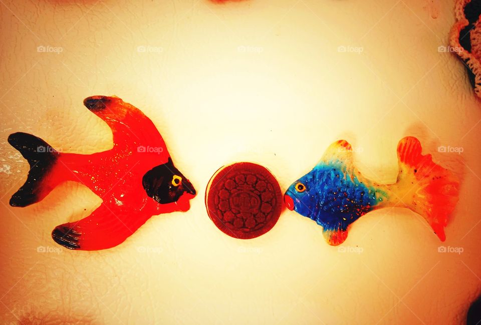 fish with oreo cookie
