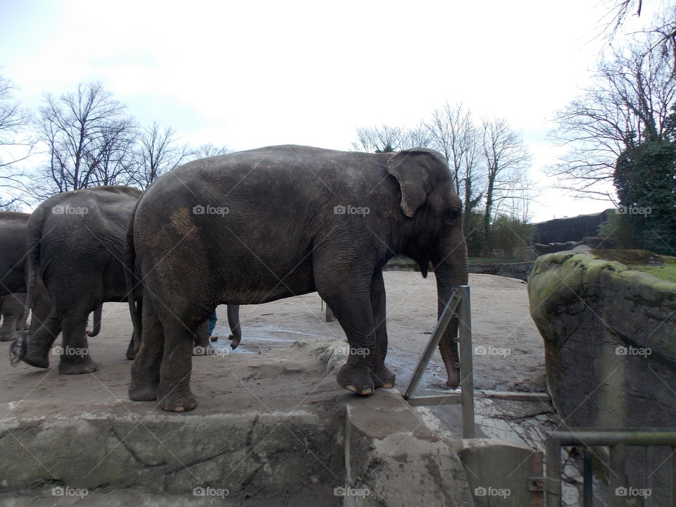 Tierpark Hamburg