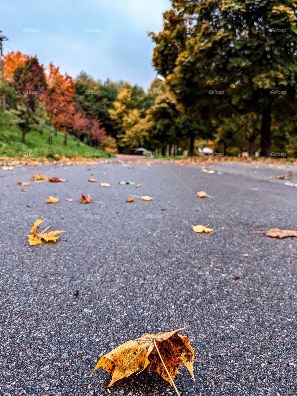 Autumn is everywhere