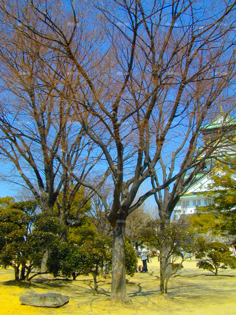 osaka japan sky nature travel by cmosphotos