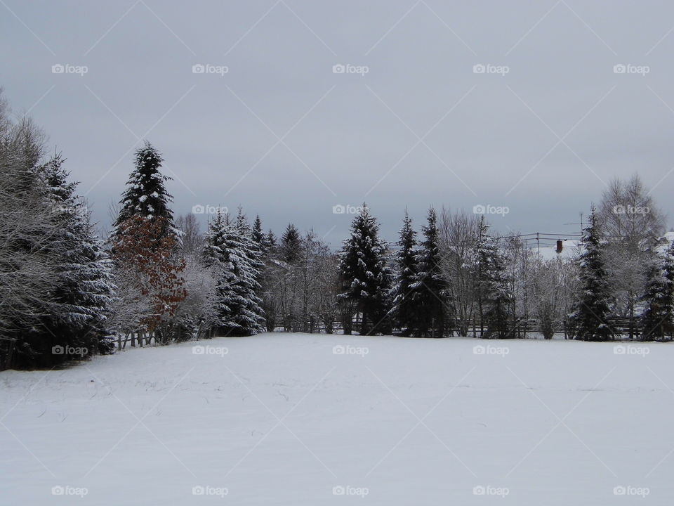 nice view from the window and snow