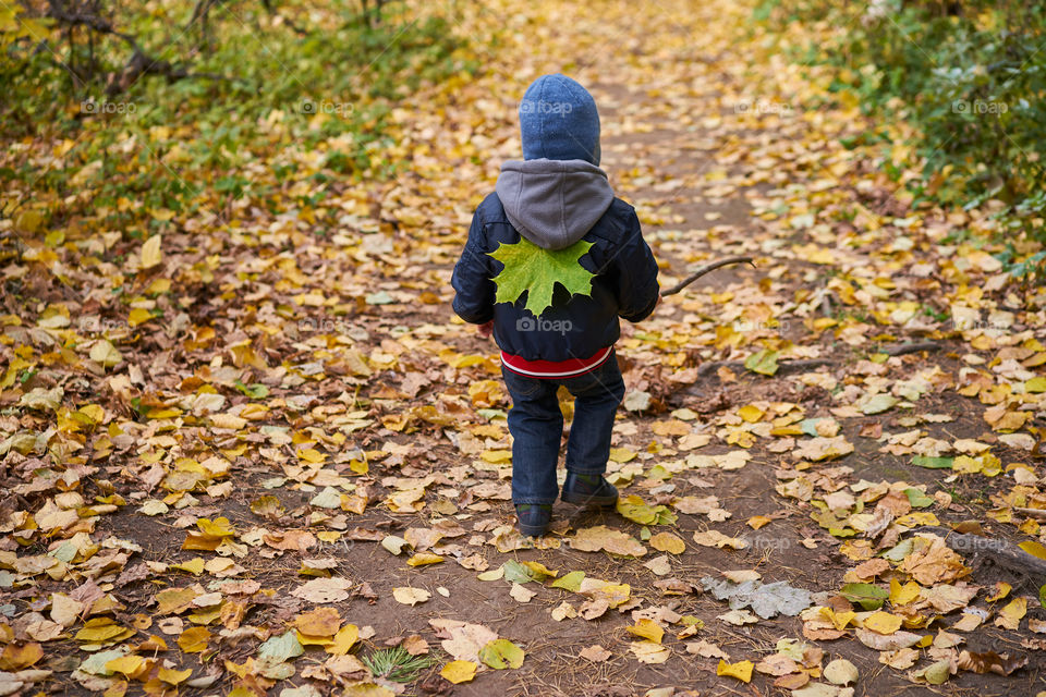 A boy walking in an autumn park 