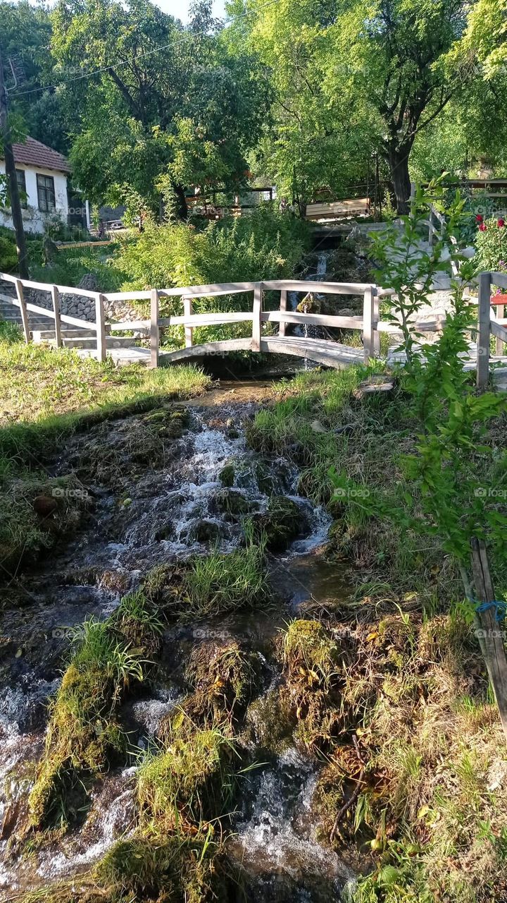 Editors' Choice - Photo of the Week!