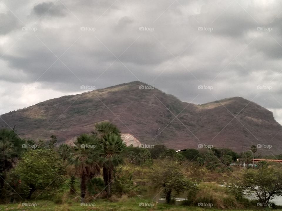 Na estrada indo para Jericoacoara CE