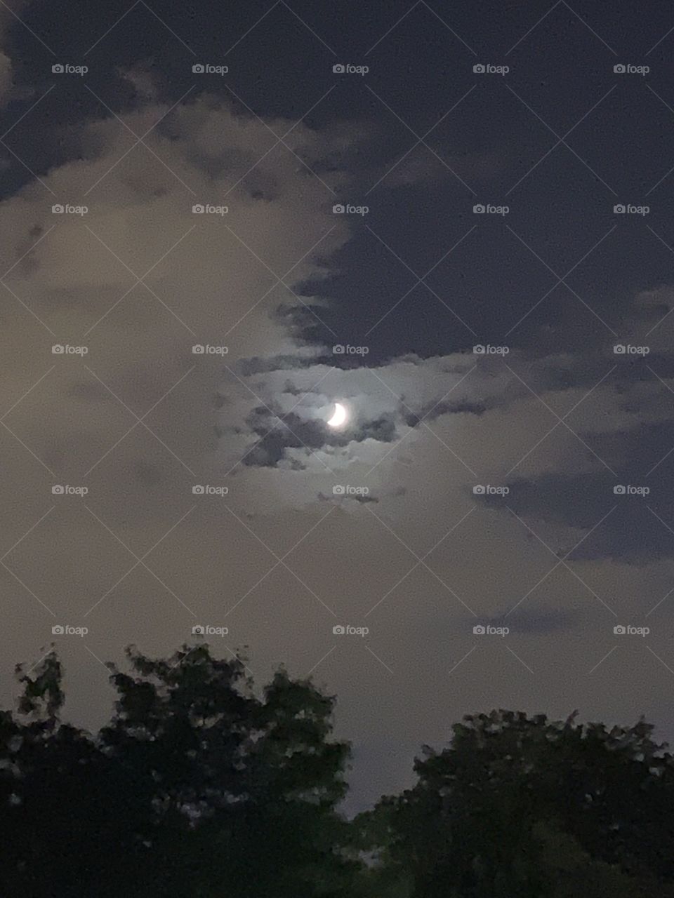 Cloudy night moonscape 