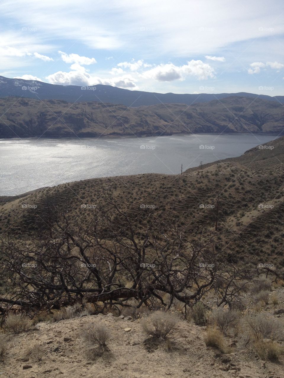 Beautiful scenic mountain view! 