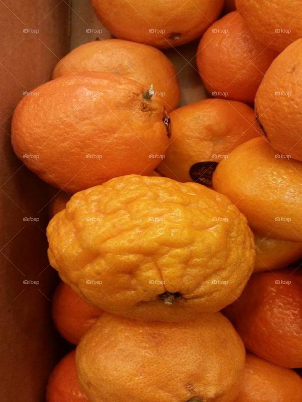 Oranges .