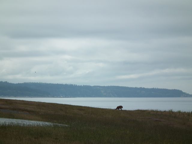 bay