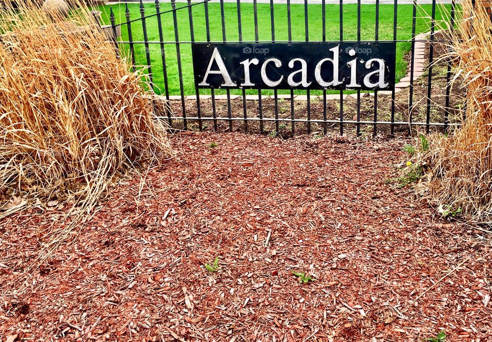Arcadia Subdivision of Olympia Fields