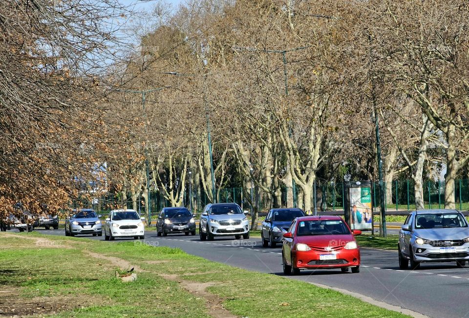 The beauty of fall colors on the trees as daily commuters move towards.