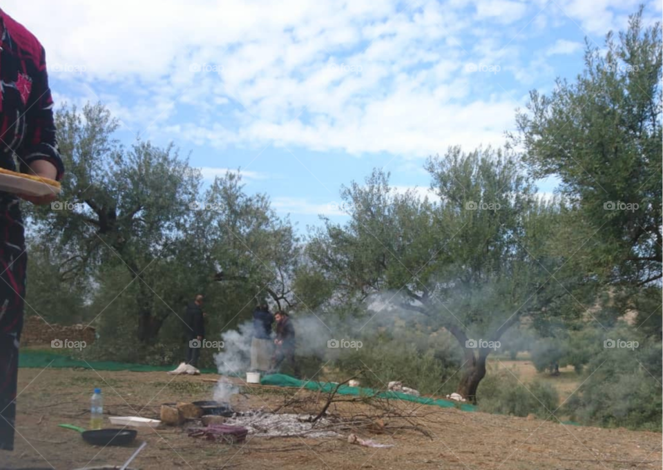 Season of  harvest in Bejaia 