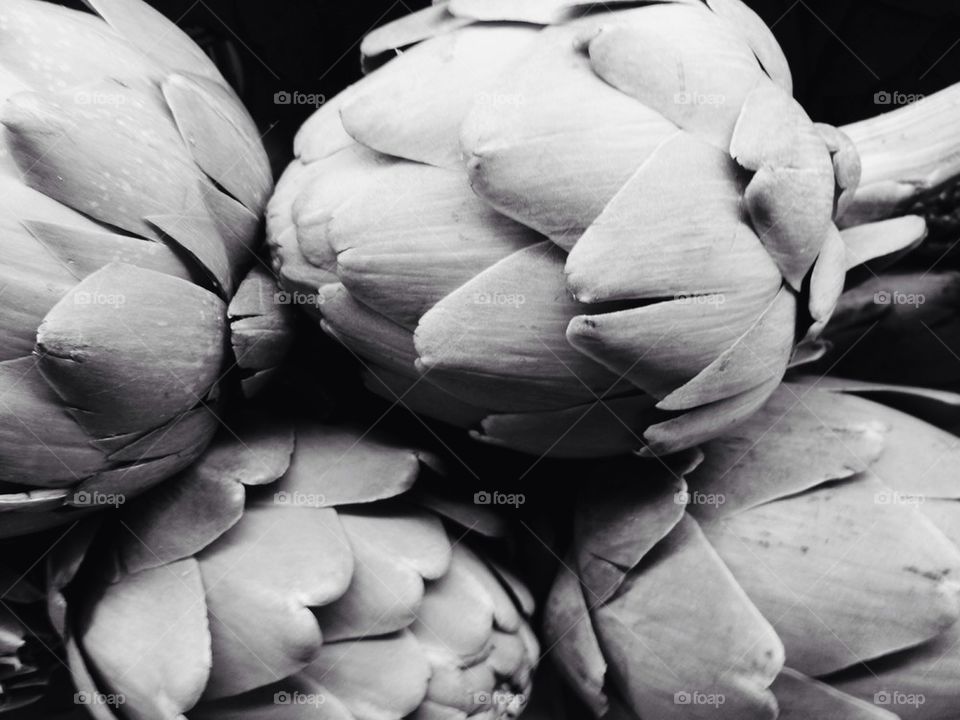 Artichoke