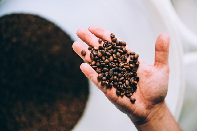 Grãos de Café 