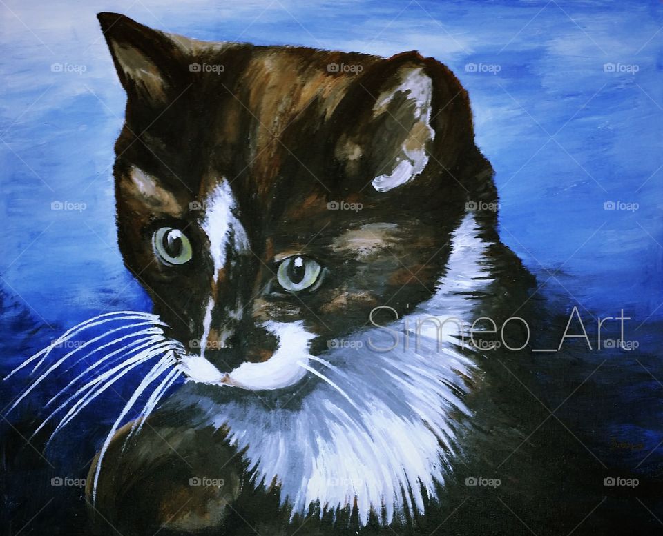 The cat. Drew this on canvas  Watch Drawing videos. here https://youtu.be/Og4w1kyFIGA