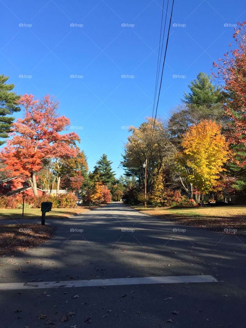 Fall Street
