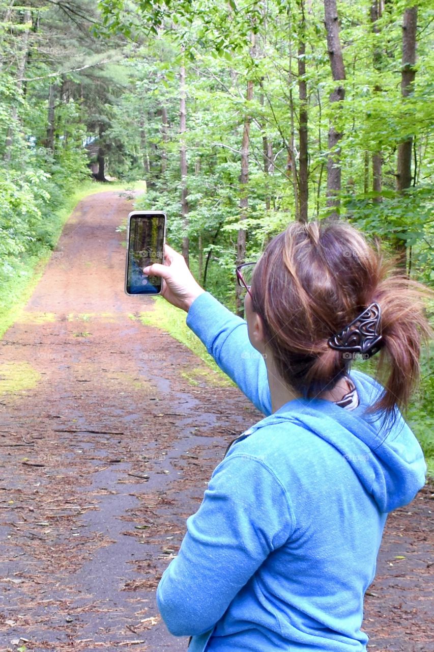 A woman taking a picture with her cell phone of a beautiful tree lined walking path