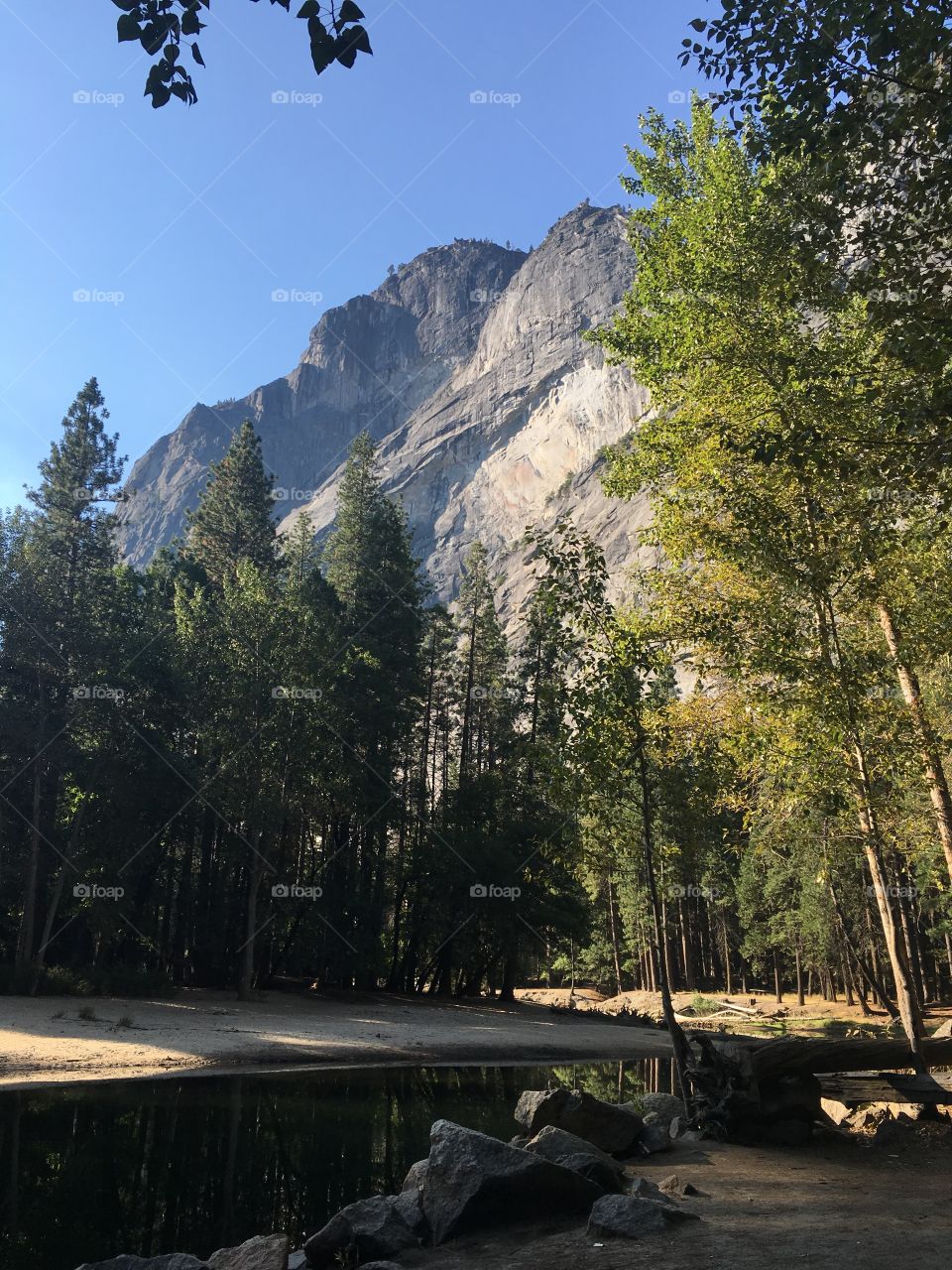 Yosemite morning run