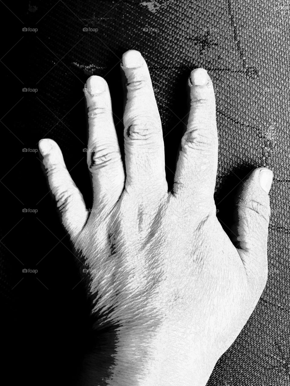 Hand (black and white)