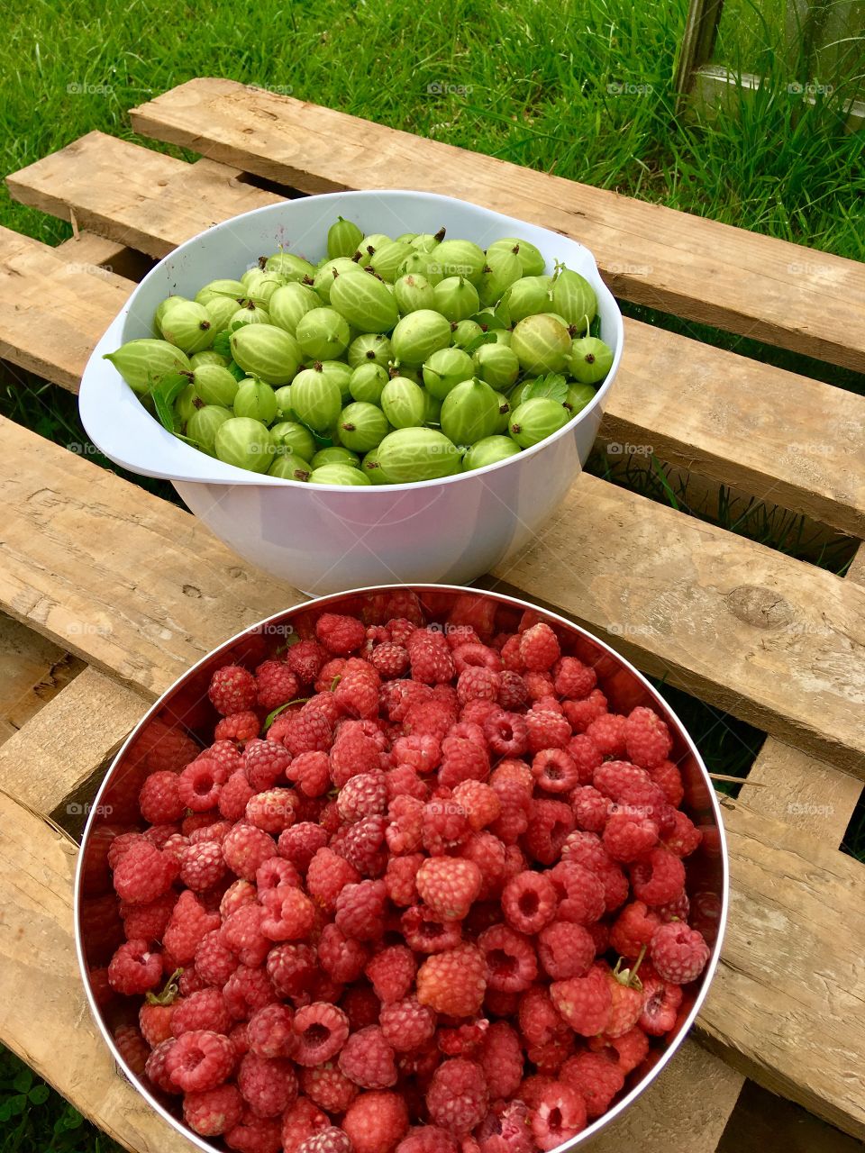 Mum's allotment heaven 