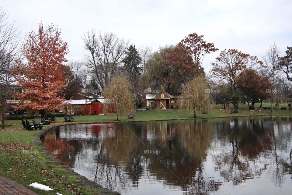 Vineyard with red building and reflection in pond